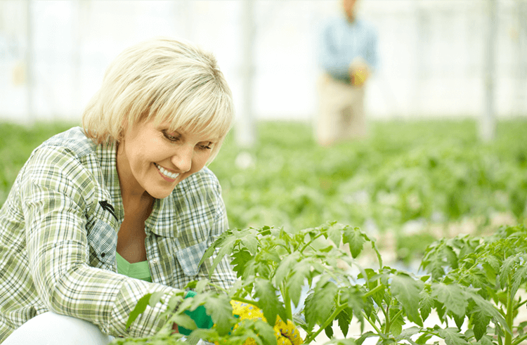 (圖:南輝消泡劑廠家除草劑消泡劑運(yùn)用)